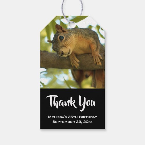 Cute  Curious Squirrel Nature Photography Gift Tags