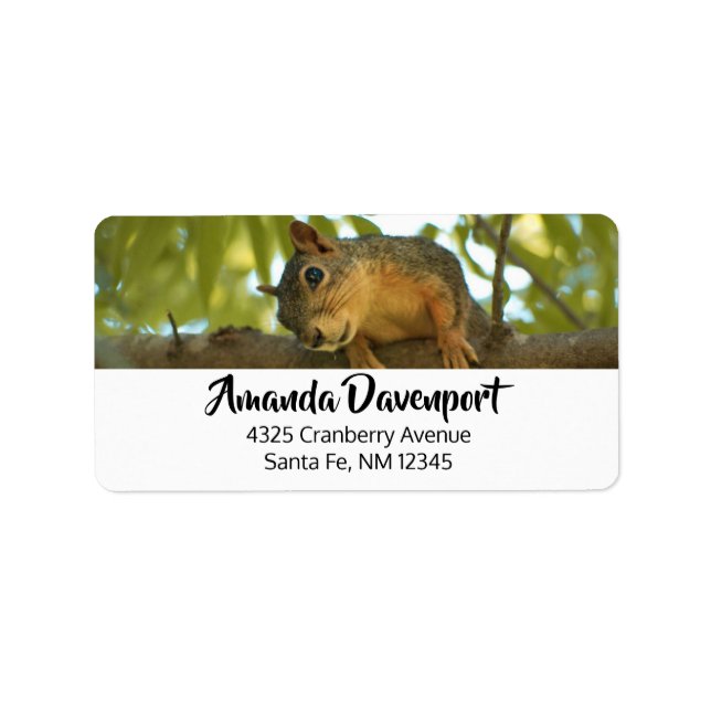 Cute & Curious Squirrel Nature Photography Label (Front)
