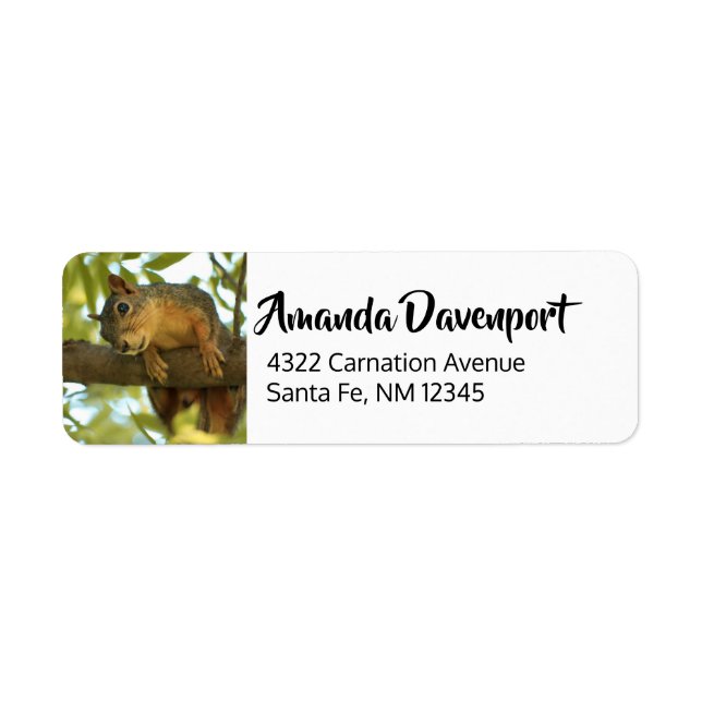 Cute & Curious Squirrel Nature Photography Label (Front)