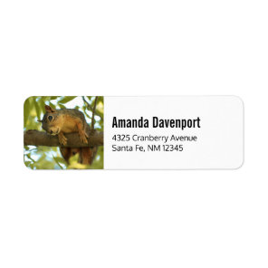 Cute & Curious Squirrel Nature Photography Label
