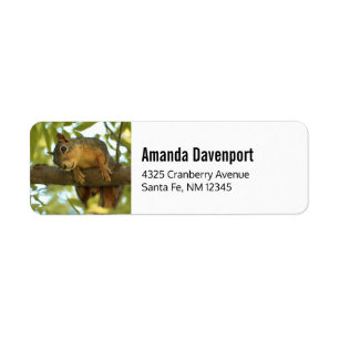 Cute & Curious Squirrel Nature Photography Label
