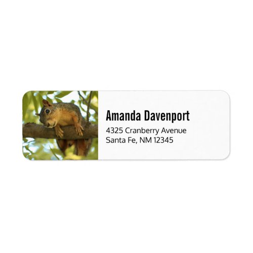  Cute  Curious Squirrel Nature Photography Label