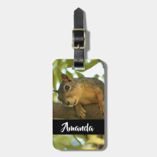 Cute & Curious Squirrel Nature Photography Luggage Tag