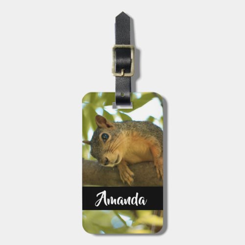 Cute  Curious Squirrel Nature Photography Luggage Tag