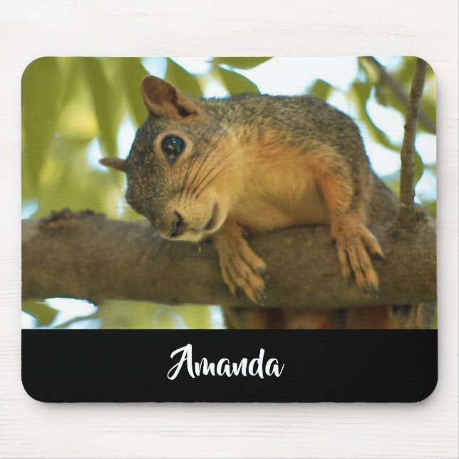 Cute & Curious Squirrel Nature Photography Mouse Pad (Front)