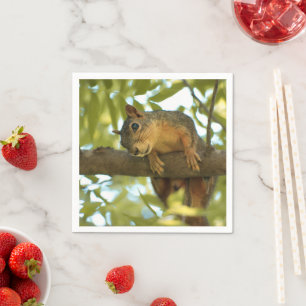 Cute & Curious Squirrel Nature Photography Napkins