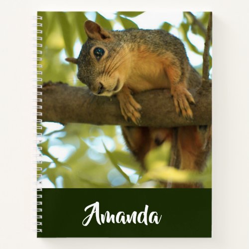  Cute  Curious Squirrel Nature Photography Notebook