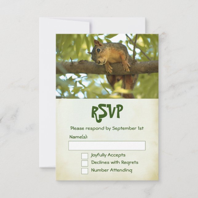 Cute Curious Squirrel Nature Photography RSVP Card (Front)