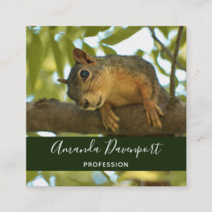 Cute Curious Squirrel Nature Photography Square Business Card