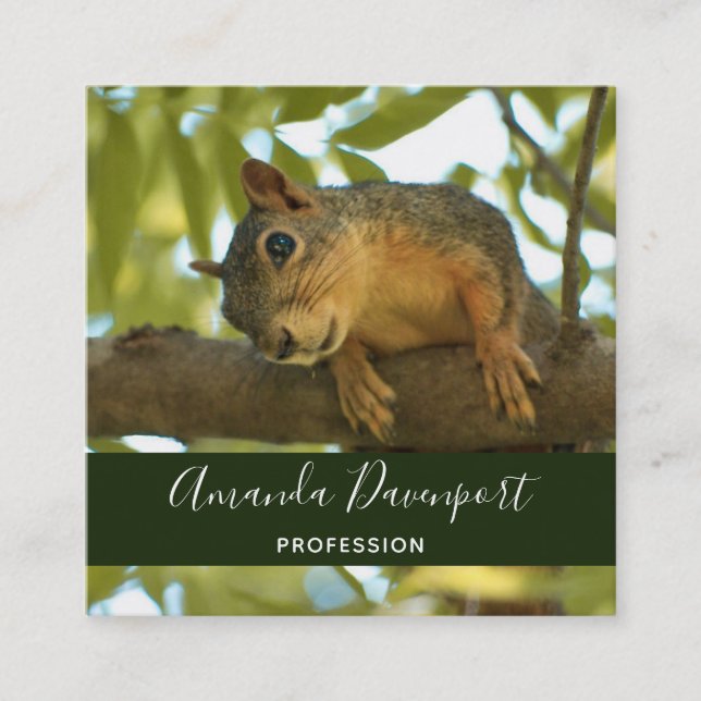 Cute Curious Squirrel Nature Photography Square Business Card (Front)