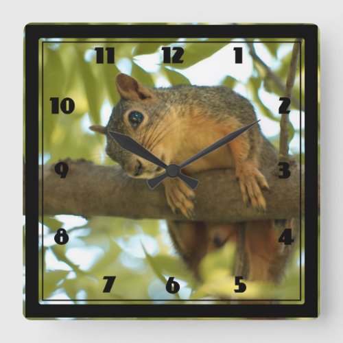 Cute  Curious Squirrel Nature Photography Square Wall Clock