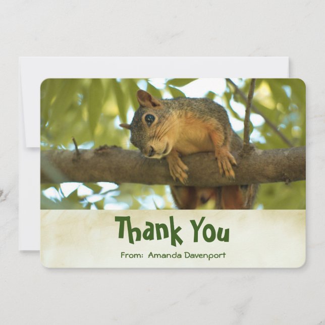Cute Curious Squirrel Nature Photography Thank You (Front)