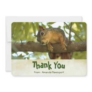Cute Curious Squirrel Nature Photography Thank You Card