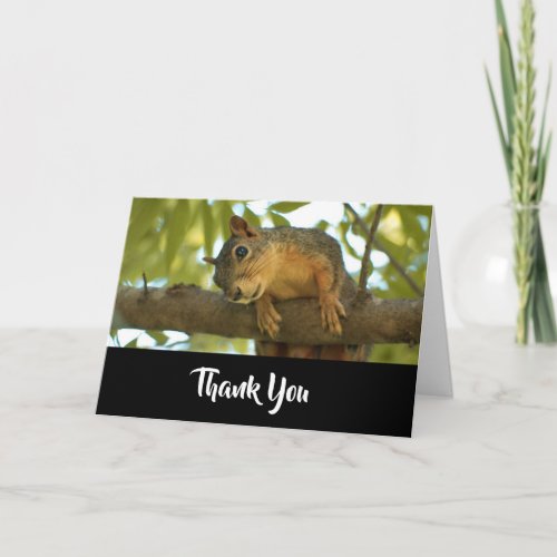Cute Curious Squirrel Nature Photography Thank You Card