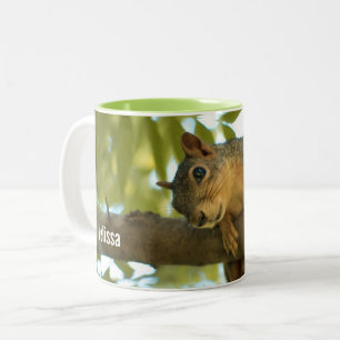 Cute Curious Squirrel Nature Photography Two-Tone Coffee Mug