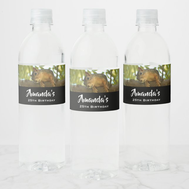 Cute & Curious Squirrel Nature Photography Water Bottle Label (Bottles)