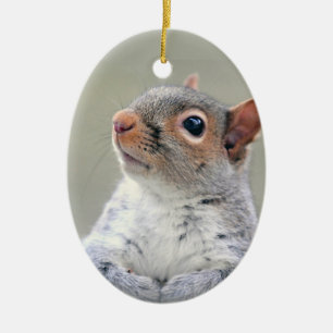 Cute Curious Squirrel Photo Ceramic Ornament