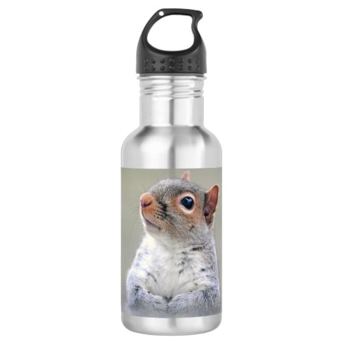Cute Curious Squirrel Profile Photo Stainless Steel Water Bottle