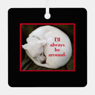 Cute Curled Up White Puppy Dog Valentine's Day Red Metal Ornament