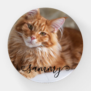 Cute Curly Name Cat Photo Paperweight