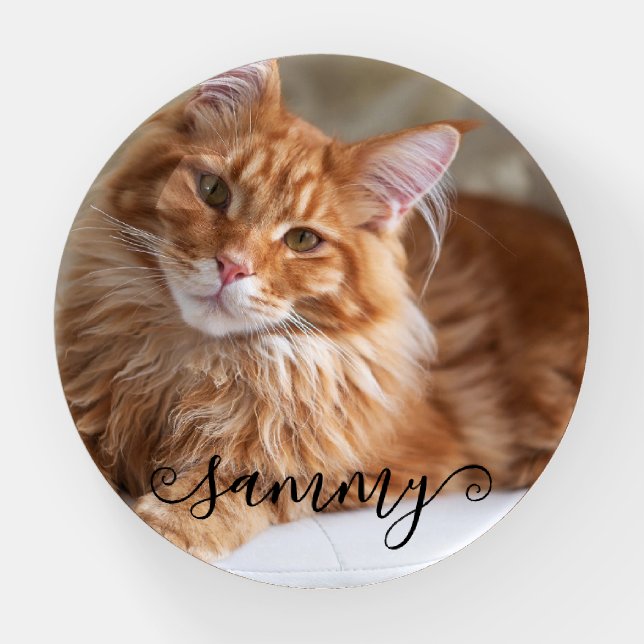 Cute Curly Name Cat Photo Paperweight (Front)