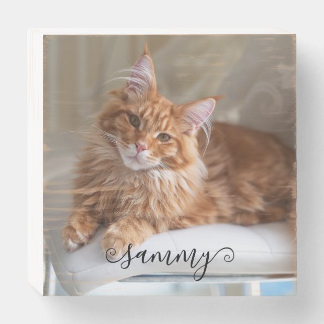 Cute Curly Name Cat Photo Wooden Box Sign (Front Horizontal)