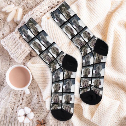 Cute Custom 4 Dog Photo Collage Grid Socks
