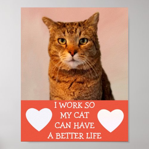 Cute Custom Cat Life Quote Poster