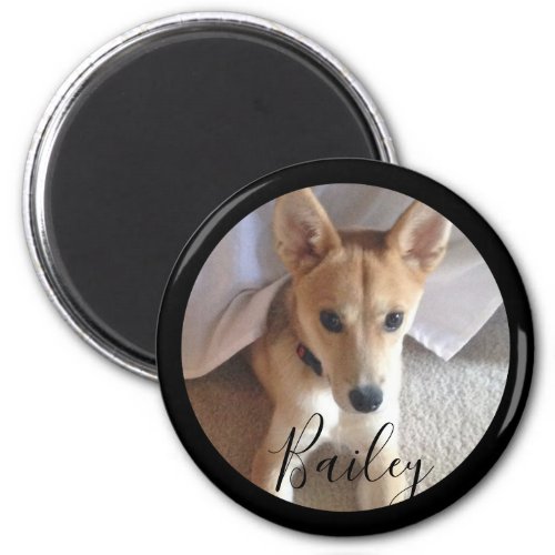 Cute Custom Dog Pet Photo Name Magnet