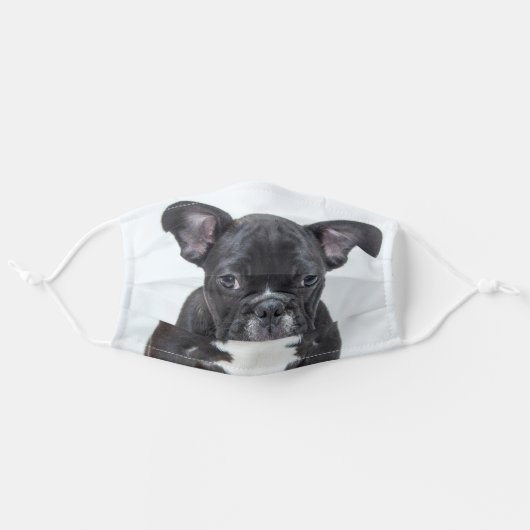 Cute Custom Dog Photo Adult Cloth Face Mask (Front, Unfolded)