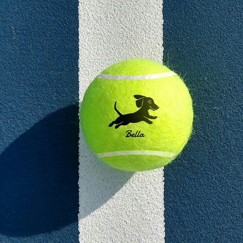 Cute Custom Name Dachshund Wiener Dog Toy  Tennis Balls