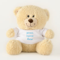 Cute custom Name Light Blue Teddy Bear