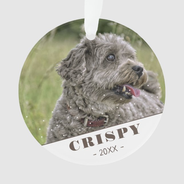 Cute Custom Pet Dog Photo Personalized Ornament (Front)