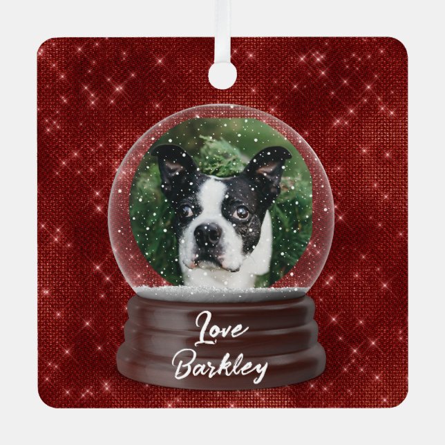 Cute Custom Pet Snow Globe  Metal Ornament (Front)