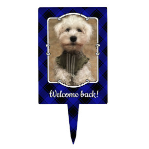 Cute Custom Photo Frame Blue & Black Plaid Cake Topper