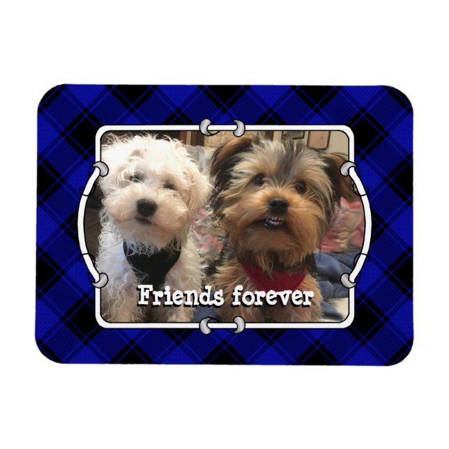 Cute Custom Photo Frame Pets Blue & Black Plaid Magnet (Horizontal)