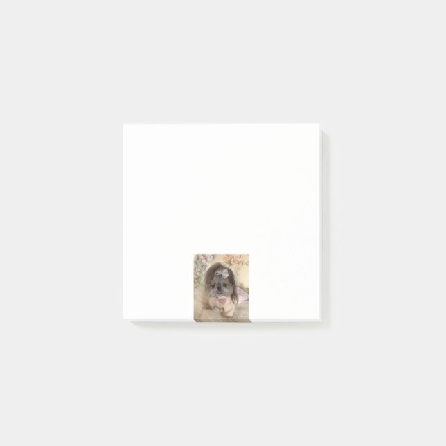 Cute Custom Photo  Post-it Notes (Front)