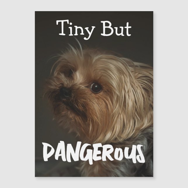 Cute Customizable Personalized Terrier Dog Mom Pet (Front)