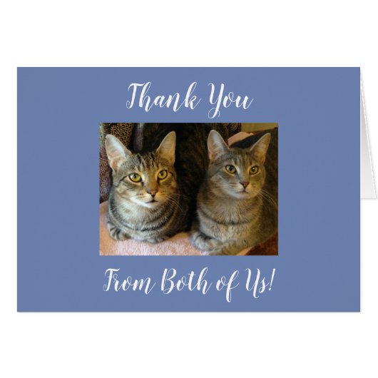 Cute Customizable Tabby Cats Thank You Kitties (Front Horizontal)