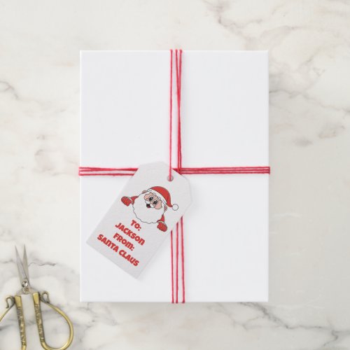 Cute Customized From Santa Claus Gift Tags