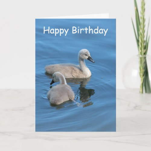 Cute Cygnets Happy Birthday Card Card