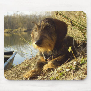 Cute Dachshund at the lake Mouse Pad
