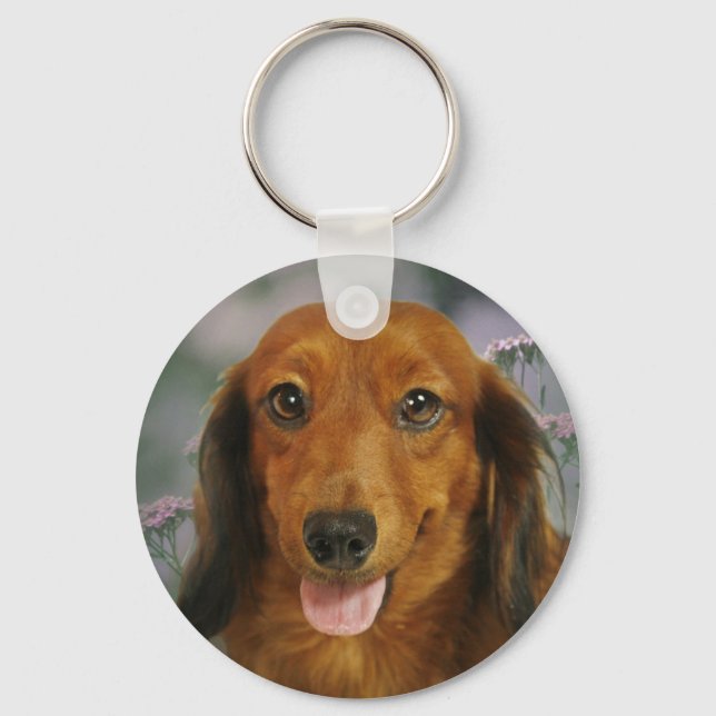 Cute Dachshund (Brown Long Haired) Wild Flowers Keychain (Front)