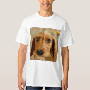 long haired dachshund t shirts