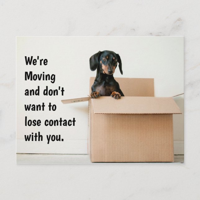 Cute Dachshund Change of Address Postcard (Front)