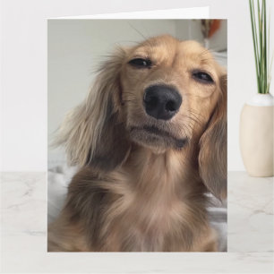 Cute Dachshund Dog Birthday Card