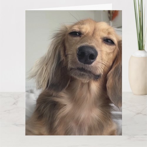 Cute Dachshund Dog Birthday Card