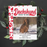 Cute Dachshund Dog Christmas Picture Custom Photo