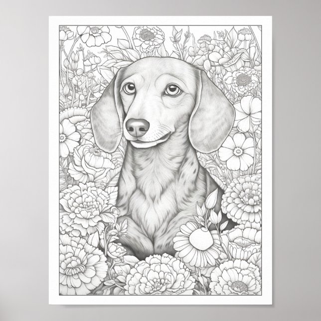 Cute Dachshund Dog Coloring Poster (Front)