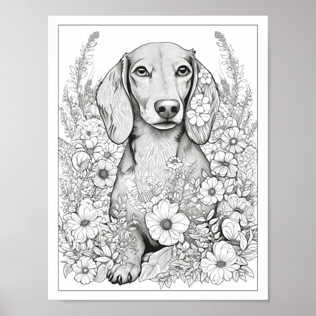 Cute Dachshund Dog Coloring Poster (Front)